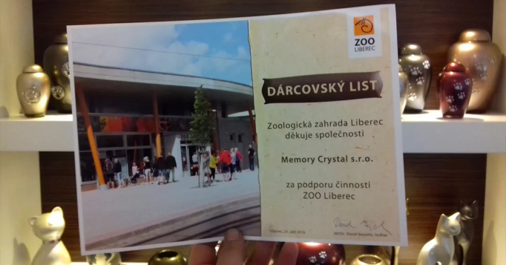 memory servis darcovsky list